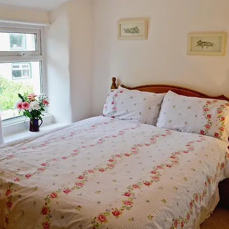 Semesterbostad Jackdaw *